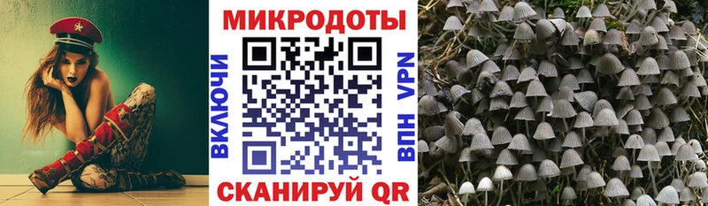 купить наркотики цена  Красноперекопск  Галлюциногенные грибы Psilocybine cubensis 